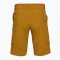 Pánske trekingové šortky Salewa Puez DST Cargo golden brown 2