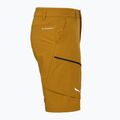 Pánske trekingové šortky Salewa Puez DST Cargo golden brown 3
