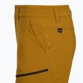 Pánske trekingové šortky Salewa Puez DST Cargo golden brown 4