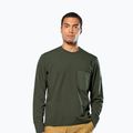 Pánska mikina Salewa Fanes Dry Pullover tmavozelená