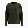 Pánska mikina Salewa Fanes Dry Pullover tmavozelená 7