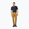 Pánske trekingové nohavice Salewa Fanes Light golden brown 2