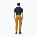 Pánske trekingové nohavice Salewa Fanes Light golden brown 3