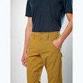 Pánske trekingové nohavice Salewa Fanes Light golden brown 4