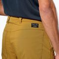 Pánske trekingové nohavice Salewa Fanes Light golden brown 5