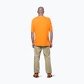 Pánske trekové tričko Salewa Agner Hemp/Dst turmeric 3