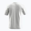 Pánske tričko Salewa Eagle Geometric T-shirt optical white 2