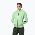 Dámska vetrovka Salewa Pedroc Polarlite Wind Hood pastel green