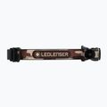 Ledlenser MH4 WindowBox hlavová baterka béžová 502152 3