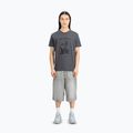 Alpha Industries pánske tričko Hawaii vintage grey 2
