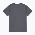 Alpha Industries pánske tričko Hawaii vintage grey 8