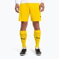 Pánske futbalové legíny PUMA Team Liga Core cyber yellow/puma black 2