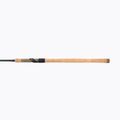 Prút Daiwa Aqualite Float black 11401-360 3