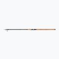 Plavákový prút Daiwa Aqualite Tele Float čierny 11403-390