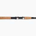 Plavákový prút Daiwa Aqualite Tele Float čierny 11403-390 3