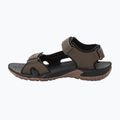 Jack Wolfskin Lakewood Cruise hnedé pánske trekové sandále 4019011 12