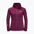 Jack Wolfskin dámska mikina Hydro Grid Fleece ružová 1709911 7