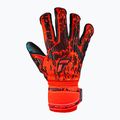 Reusch Attrakt Freegel Gold Evolution Cut brankárske rukavice červené 5370135-3333 4