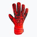 Reusch Attrakt Freegel Silver brankárske rukavice červené 5370235-3333 4