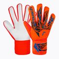 Brankárske rukavice Reusch Attrakt Starter Solid bright red/future blue