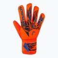 Brankárske rukavice Reusch Attrakt Starter Solid bright red/future blue 2
