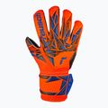 Detské brankárske rukavice Reusch Attrakt Silver Junior hyper orng/elec blue/blck 2