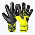 Brankárske rukavice Reusch Attrakt Gold X Evolution yellow/silver/black