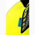 Brankárske rukavice Reusch Attrakt Gold X Evolution yellow/silver/black 6