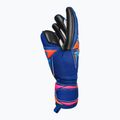Brankárske rukavice Reusch Attrakt Infinity Evolution NC sharp blue/shocking orange/black 4