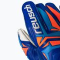 Brankárske rukavice Reusch Attrakt Grip sharp blue/white/shocking orange 7