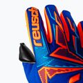Brankárske rukavice Reusch Attrakt Freegel Duo NC sharp blue/shocking orange/black 6