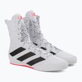 Boxerská obuv adidas Box Hog 3 white and black GV9975 5