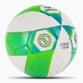 ERIMA Hybrid Lite 290 zelený gekón/benzínová futbalová lopta veľkosť 3 2