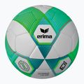 ERIMA Hybrid Lite 290 zelený gekón/benzínová futbalová lopta veľkosť 3