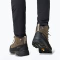 Pánske trekové topánky Jack Wolfskin Terraquest Arctic Texapore Mid cold coffee 9