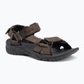 Pánske sandále Jack Wolfskin Lakewood Ride cold coffee
