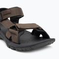 Pánske sandále Jack Wolfskin Lakewood Ride cold coffee 7