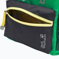 Detský turistický batoh Jack Wolfskin Little Scout 10 l mystic green 11