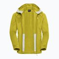 Pánska trekingová mikina Jack Wolfskin Peak District Hooded Full Zip chartreuse 9