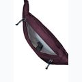 Jack Wolfskin Konya Hipbag 2 l amaranth 4