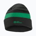 Detská zimná čiapka Jack Wolfskin Stripy Knit slate green/mystic