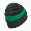Detská zimná čiapka Jack Wolfskin Stripy Knit slate green/mystic 2