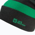 Detská zimná čiapka Jack Wolfskin Stripy Knit slate green/mystic 3