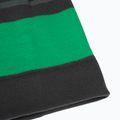 Detská zimná čiapka Jack Wolfskin Stripy Knit slate green/mystic 6
