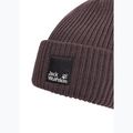 Zimná čiapka Jack Wolfskin Pergamon Beanie sheer plum 3