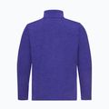 Pánska fleecová mikina Jack Wolfskin Trail Half Zip glow ink 5
