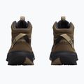 Dámske turistické topánky Jack Wolfskin Wild Hike Texapore Mid fawn 3