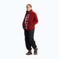 Dámske turistické topánky Jack Wolfskin Wild Hike Texapore Mid fawn 7