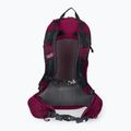 Jack Wolfskin Crosstrail ST 22 l turistický batoh bordový 2009562_2222 3