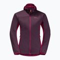 Dámska lyžiarska bunda Jack Wolfskin Alpspitze Ins Hoody purple 1206801_2042 9